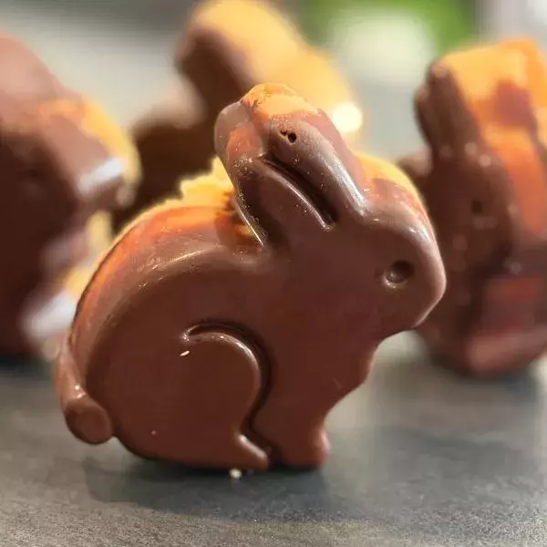 Les lapins en Shortbreads 