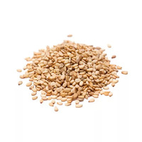 10 gramme(s) de graines de sésame