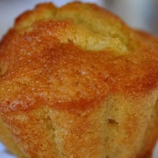 muffins pomme cannelle sans gluten sans lait