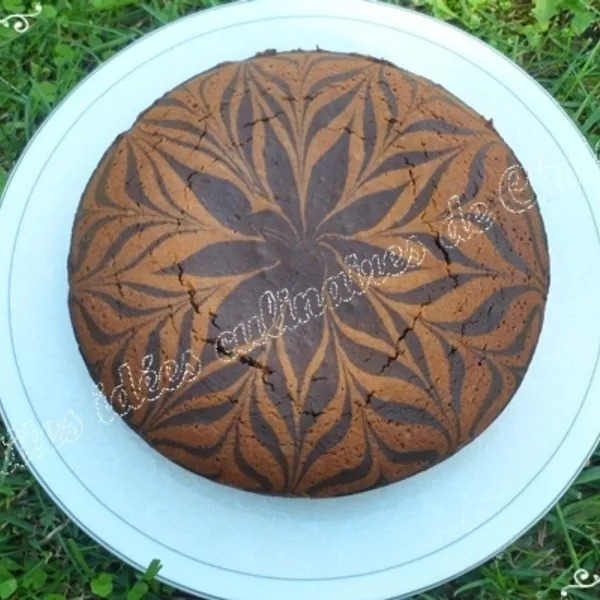 Magnifique cake zébré noisette/chocolat