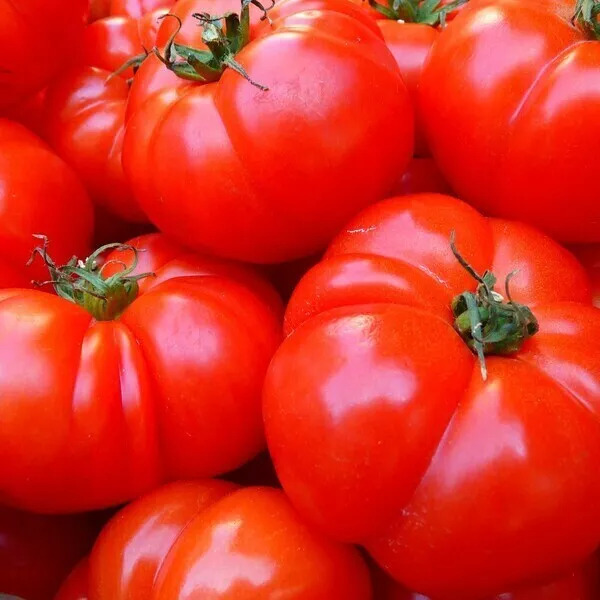 velouté à la tomate