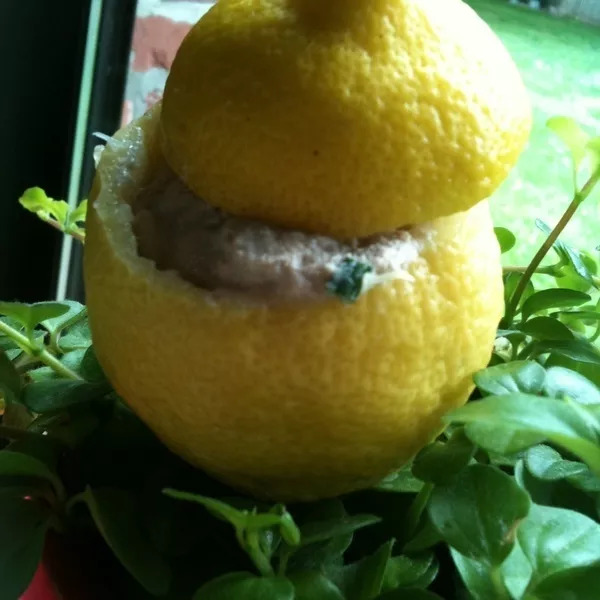 Citrons farcis au thon