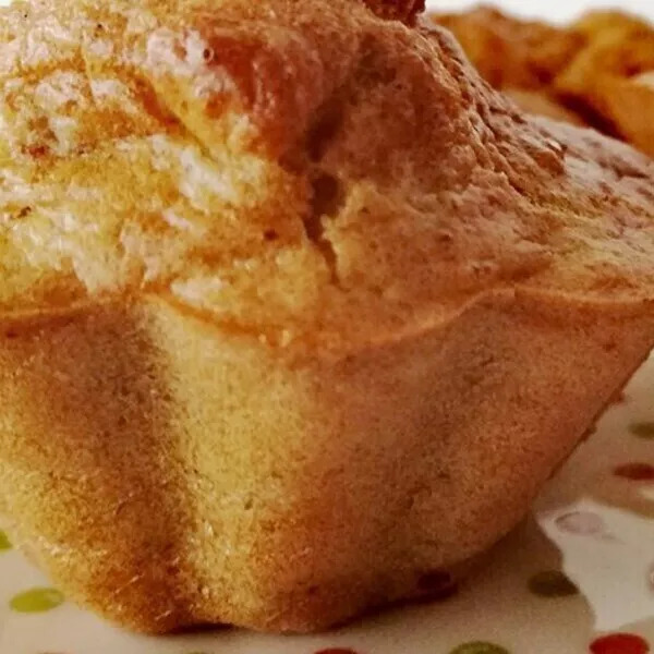 MUFFINS AU RIZ CUIT