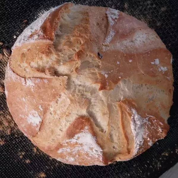 Mes jolis pains ronds