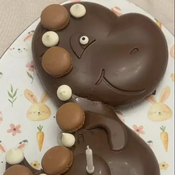 Le Dino Tout Choco