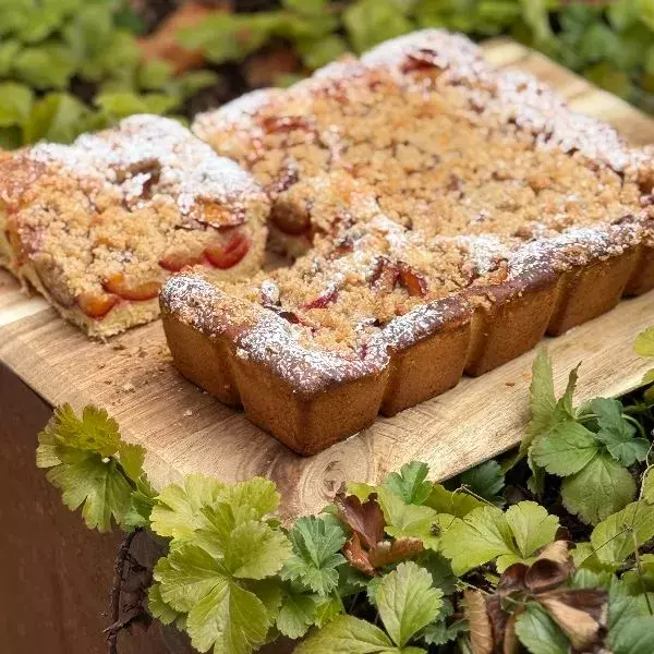 Brioche moelleuse aux quetsches 