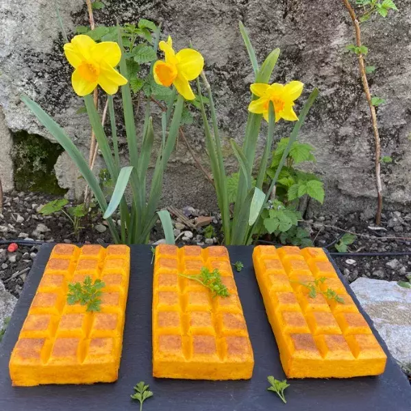 Tablettes carottes-polenta