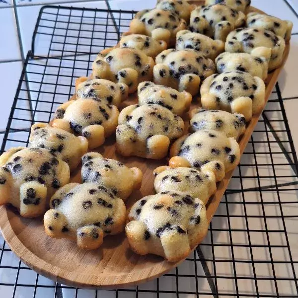 Petits oursons et leurs tâches de rousseur 🐻