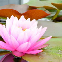 moniqueetjacque_0c85