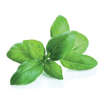 5 gramme(s) de feuilles de basilic