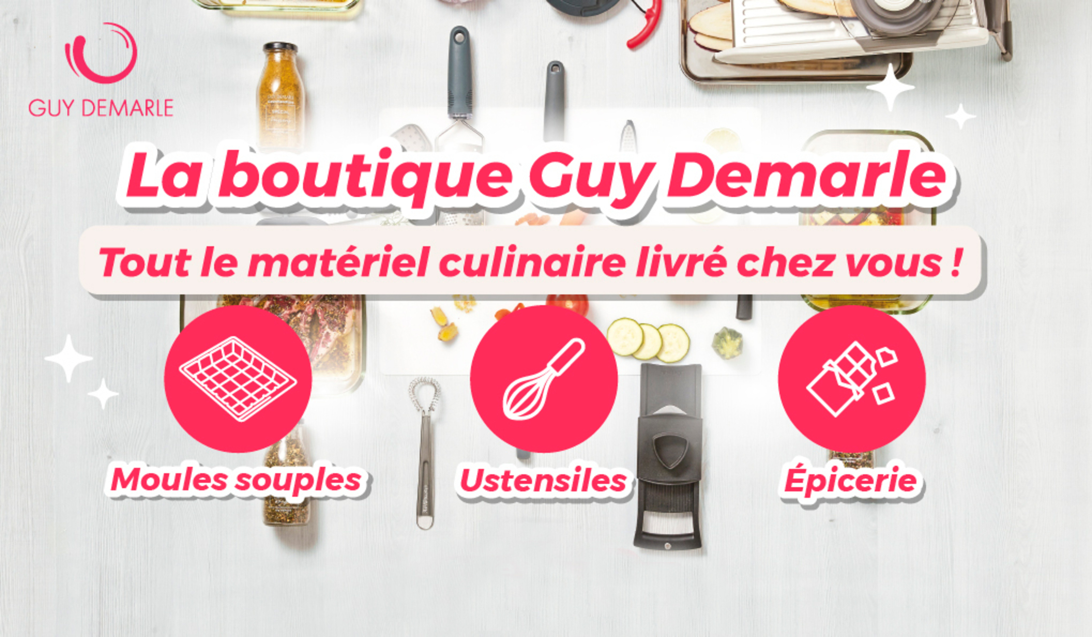 Guy Demarle - 31622 recettes pour tous les goûts !