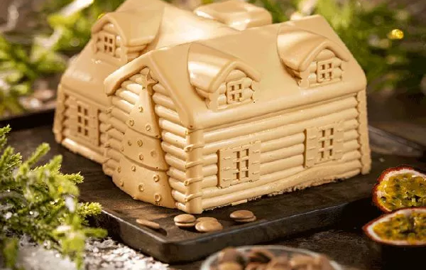 Entremets chocolat mangue passion