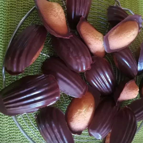 Madeleines coque chocolat noir dans le moule Madeleines OHRA SP000019 - Recette avec ou sans robot -