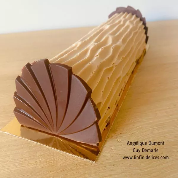 Bûche au chocolat et praliné