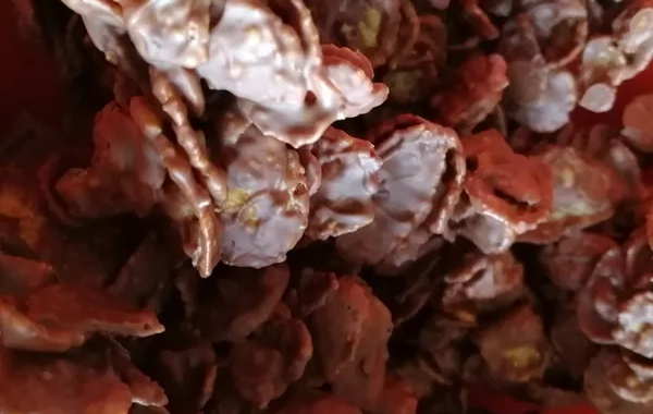 Roses des sables gourmandise au nutella