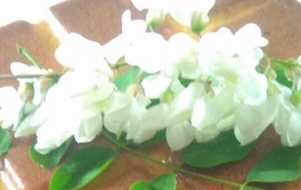Gâteau aux fleurs d'acacias