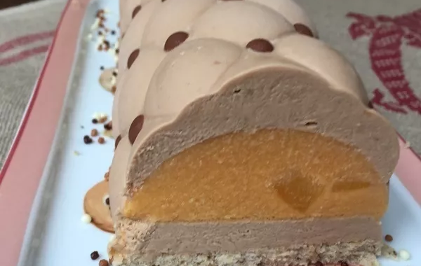 Bûche abricot praliné
