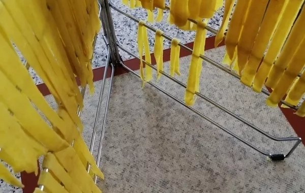 Pâtes fraîches maison au curry