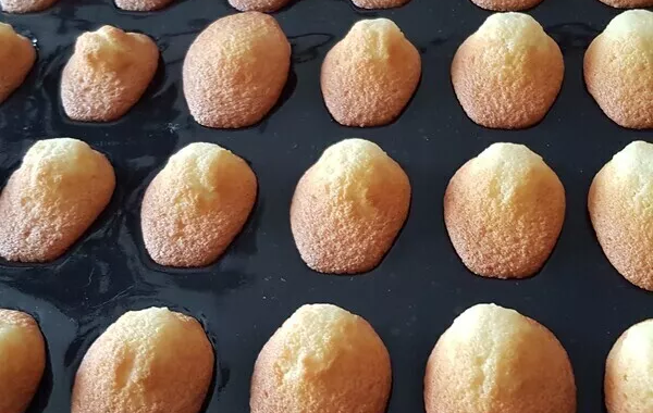 Madeleines moelleuses