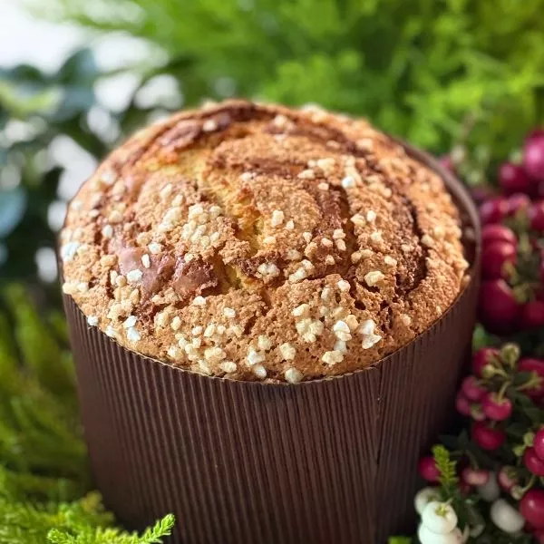 Le Panettone