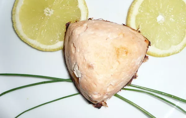 Timbales de saumon (sauce citronnée-ciboulette)