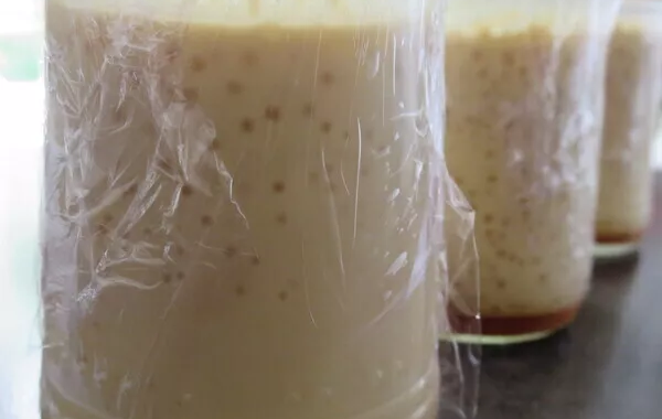 Crème aux oeufs et caramel (IG bas)
