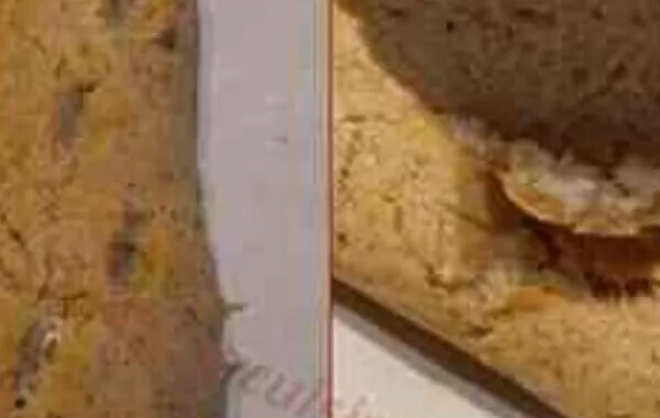 Baguette sans GLUTEN presque FODMAP