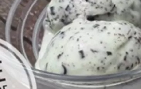 Glace Menthe Chocolat pour turbine ou sorbetière