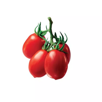 8 tomate(s) rouge(s) coeur de pigeon