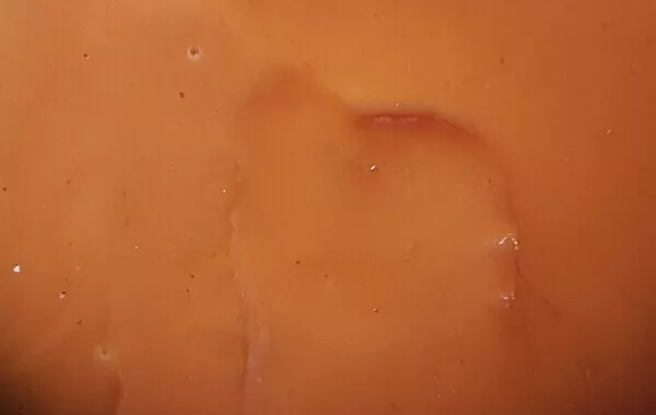 Sauce Tomate express