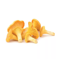 6 girolles