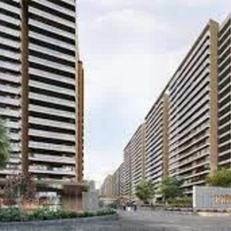 prestigeevergreen