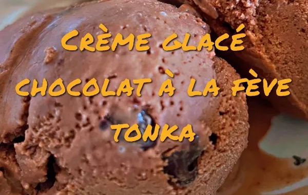 Glace Chocolat et fève Tonka