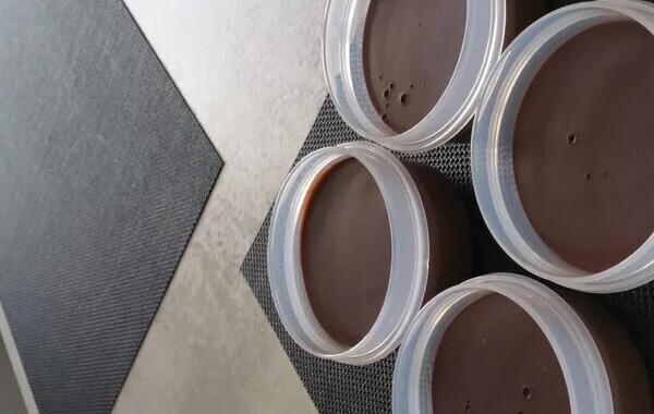 Petites Crèmes chocolat /menthe