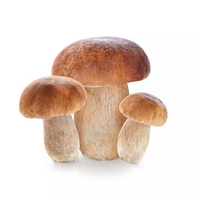 200 gramme(s) de cepes surgelés ou vendu en bocal verre