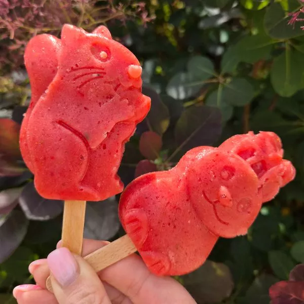 Sorbet Animaux Fraises