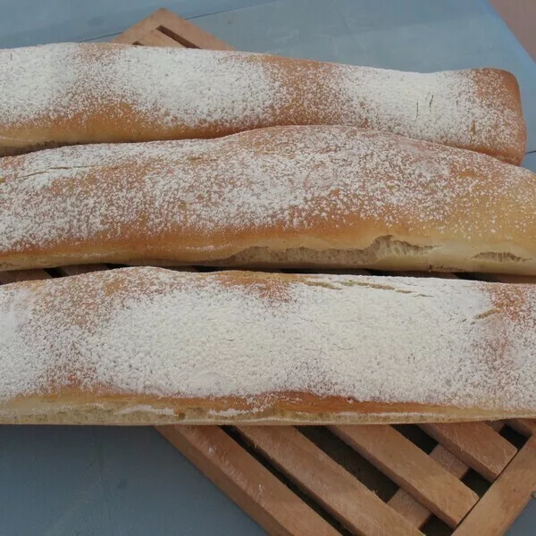 CIABATTAS