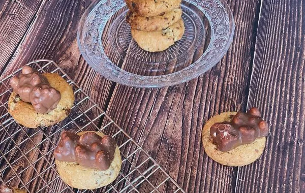 cookies chocolat-ourson guimauve