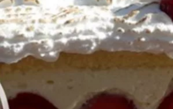 Mon fraisier avec crème diplomate (cadre inox moyen)