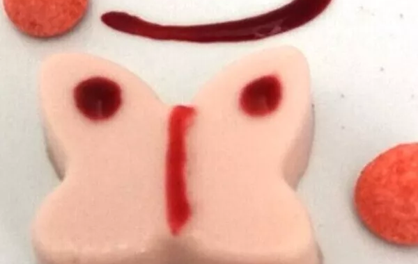 Papillon panna cota fraises tagada