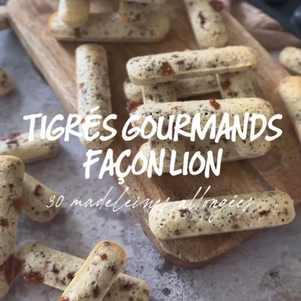 Tigrés façon lion 