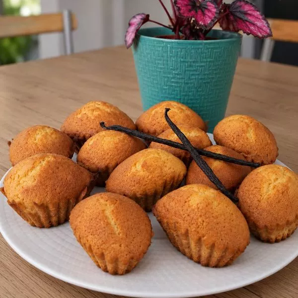 Madeleines cannelées