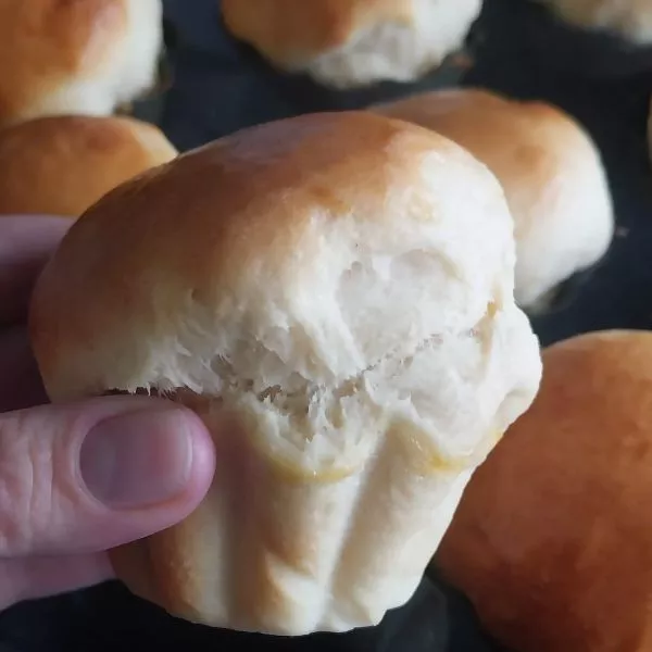 Brioche nature individuelle