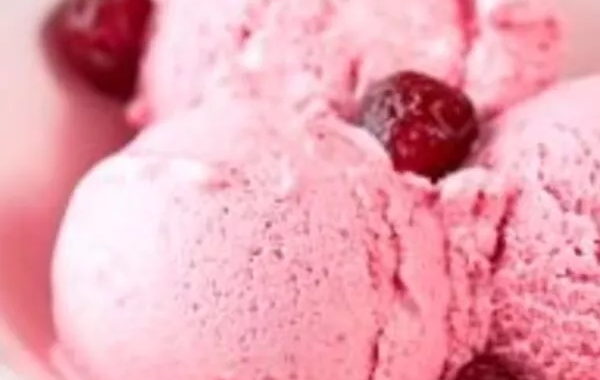 JB SORBET AU YAOURT ETÀ LA FRAMBOISE