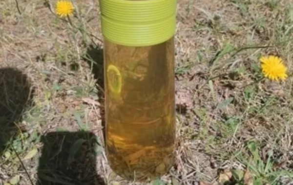 thé glacé à la menthe