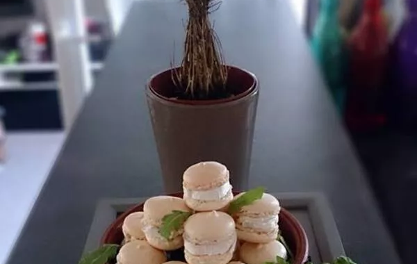 Macarons chèvre & miel