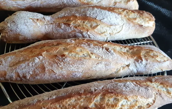Baguettes magiques rustiques aux graines bio