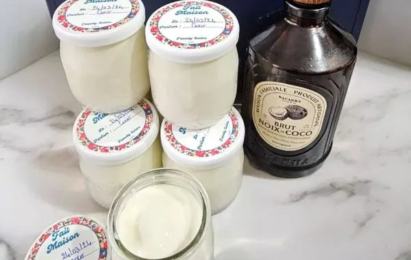 Yaourts à la noix de coco