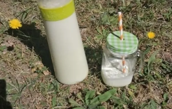 lait frais au melon