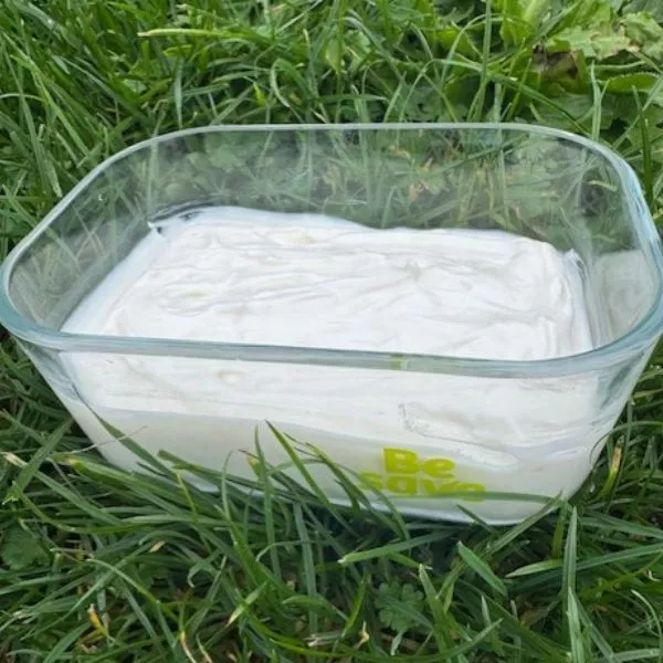 Skyr Boréale